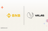 Taking a Look at BNB: An Asset Spotlight for Valas Finance.