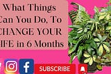 What Things Can You Do To Change Your Life In 6 Months