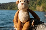 What Psychology Teaches Us About Punch the Monkey, Attachment, Loss, and Adaptation