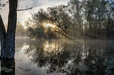 Ethereal — Sunlight through Fog
