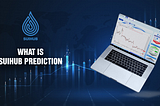 🔹 What is Suihub Prediction?