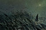 the cost of free will