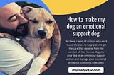 How To Make Your Dog An Emotional Support Dog