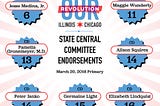 Our Revolution Illinois announces IL State Central Committee Endorsements