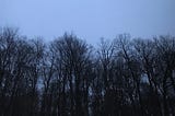 Winter’s Gloom Illuminates Me