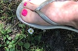 Daisies On The Dusty Road