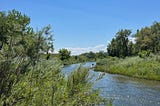 a clear day. A river flowing through green trees and plants