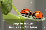 Bugs In Scrum — How To Tackle Them