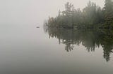 trees in a morning fog in the Boundary Waters