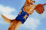 Disney Air Bud 1997 cover image