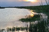 waterway with sunset in the background and swamp grasses in the foreground