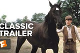 Black Beauty /[]/ -Ful^ Movies- [HD1080p] Online..google drive 123