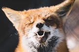 How to Keep Your Free Heroku App Online Forever