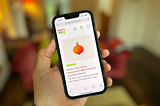 Reflections from building Mighty Veg — a vibe-coding experiment