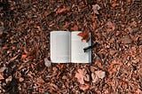On Writing A Novel