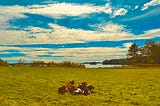 From Regenerative Complexity to Climate-Smart Farming