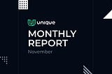 Monthly Report November 2022