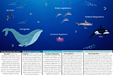 Who Regulates the Ocean of Social Media? Infographic Assignment