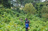 Best Places you can visit in Uganda for Vacation