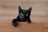 J.D. Vance Family Recipe for Appalachian Cat (or Dog)