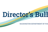 May/June Director’s Bulletin