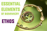 Os Elementos Essenciais da Biomimética: Ethos.