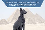 Did You Know There Was An Ancient City In Egypt That Worshipped Cats?