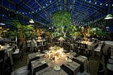 Innovative Botanical Wedding Decor Ideas