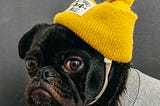 Quel avenir après la marée jaune ?