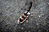 The Great Pacific Garbage Patch