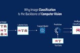 Why Image Classification Is the Backbone of Computer Vision