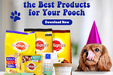 Best Products for Your Pooch