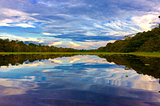 The road to Ayahuasca