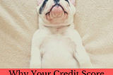 Why your credit score matters