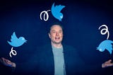 A Look at the Chaotic UX Updates to Twitter after Elon Musk’s Takeover