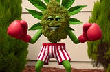 A defiant cartoon weed, geared up with boxing gloves and boxers, standing ready between the shrubs, daring anyone to come near.