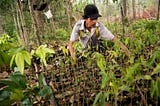 30% af naturen skal beskyttes inden 2030