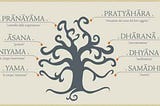 8 yoga sutras of patanjali explained