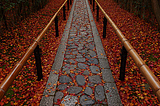 Stone Walkway, Kyoto, Japan