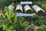 Transformation and Expansion of our Organic Urban Farm