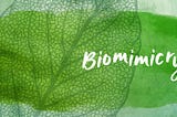 Learning from natures wisdom- Biomimicry
