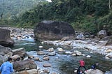 Full Information of our North Bengal Trip | Dooars Land | The Himalayan Valley