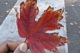 Fall(ing) into October