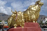 What do cows have to do with Gold?