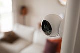 Smart Home Monitoring: The Next Step in Smart Devices