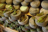 Maturus, Fucus, Siccatus, Sauvis and Rubens-An illustrious group of Italian cheeses