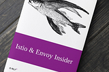 My new book — Istio & Envoy Insider