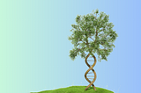 Digital illustration of a tree with a trunk shaped like a DNA double helix.