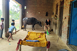 Cricket, Jamun, Jhoola, aur Corn-1