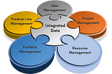 Dynamic Innovation Portfolio Management